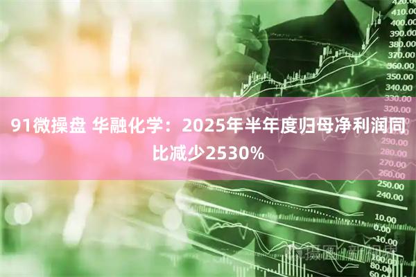 91微操盘 华融化学：2025年半年度归母净利润同比减少2530%